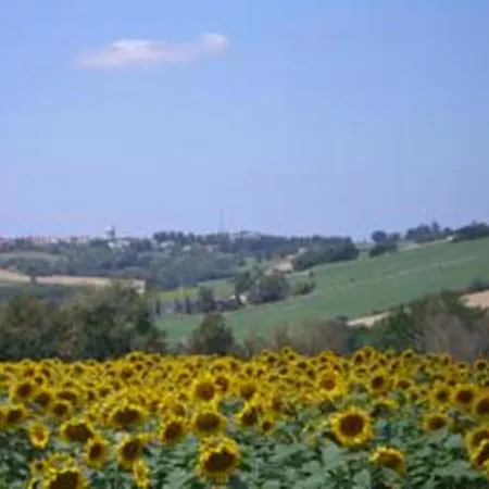 Chateau De Lassalle Bed and breakfast Laplume