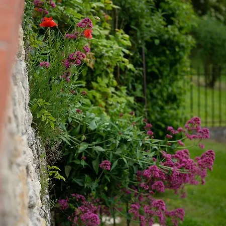 Chateau De Lassalle 3* Laplume