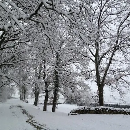 Chateau De Lassalle 3*