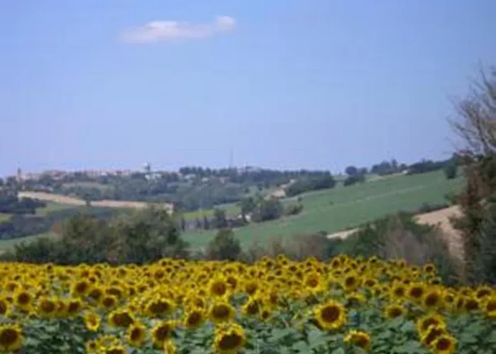 Chateau De Lassalle Bed & Breakfast Laplume