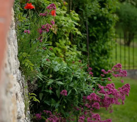 Chateau De Lassalle 3* Laplume