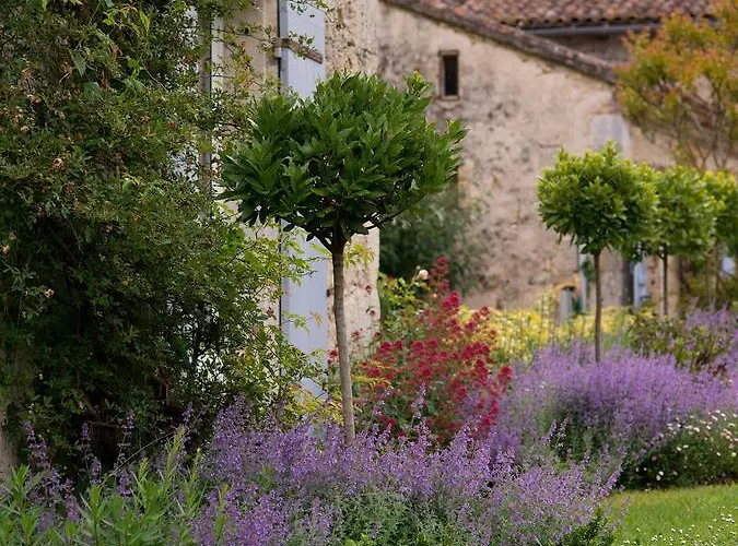 Bed & Breakfast Chateau De Lassalle