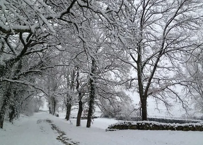 Chateau De Lassalle 3*